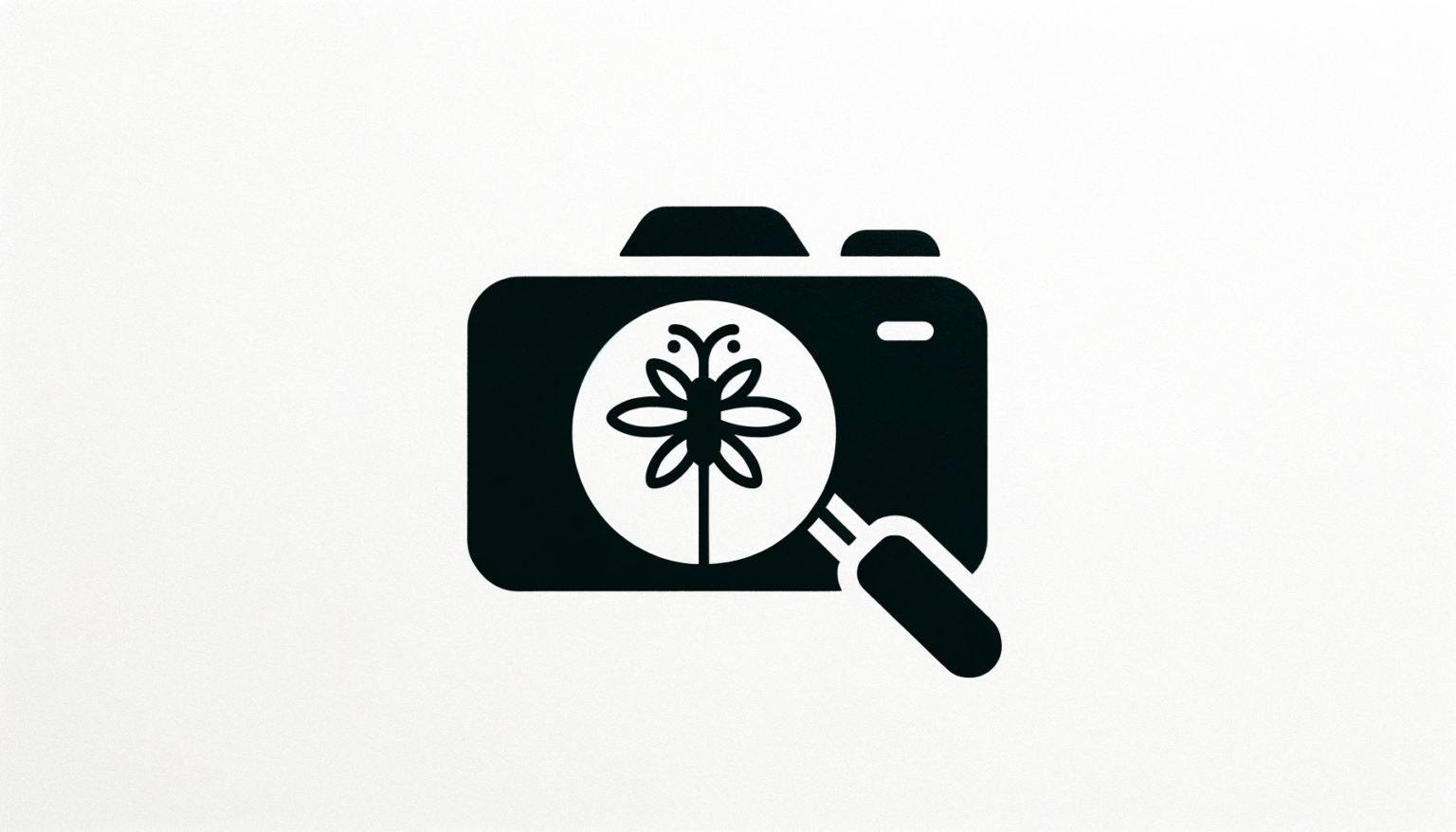 10 Macro Photography Tips to Capture Incredible Details – Icon ...