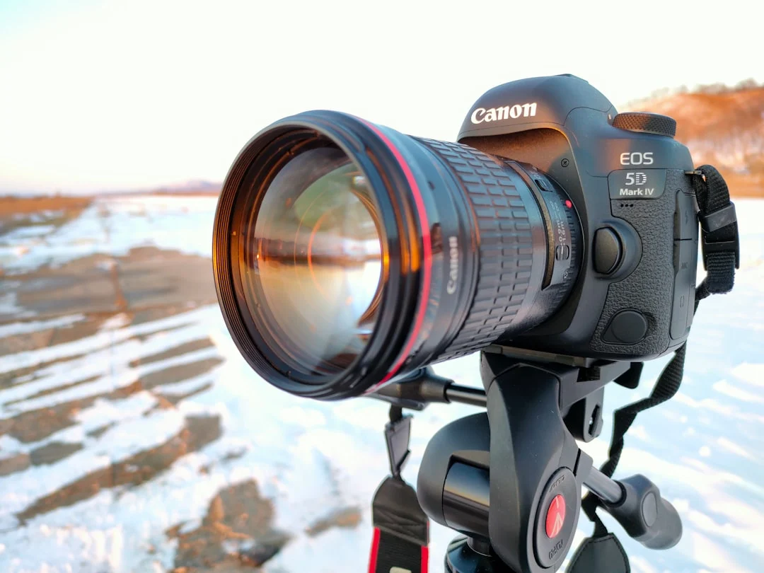 Full Frame Vs Crop Sensor