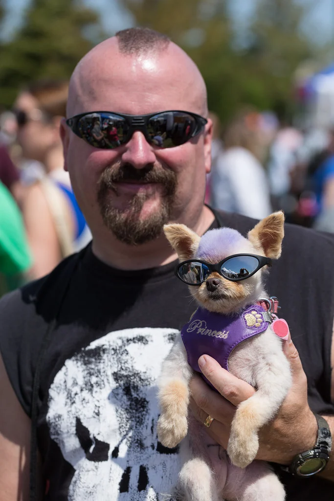 How To Photograph Pets
