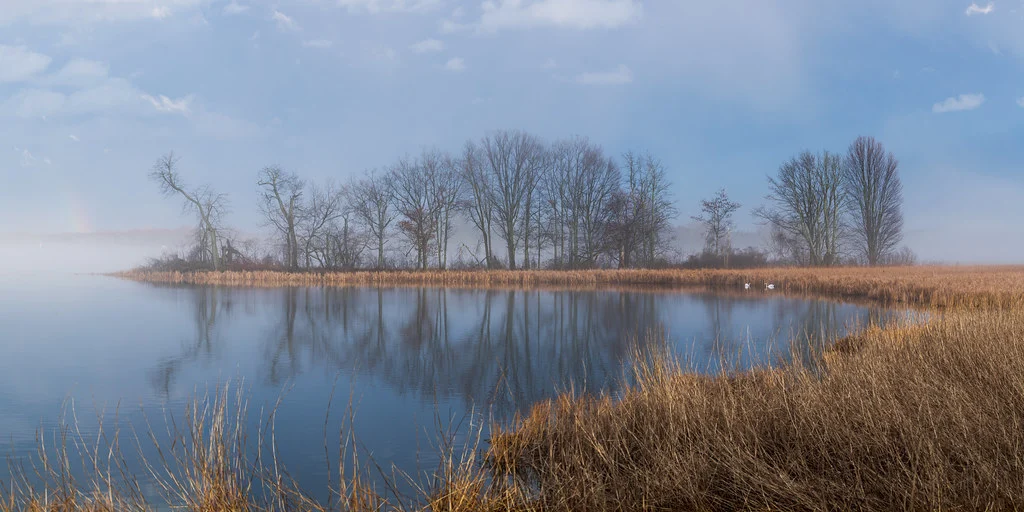 How To Photograph Reflections