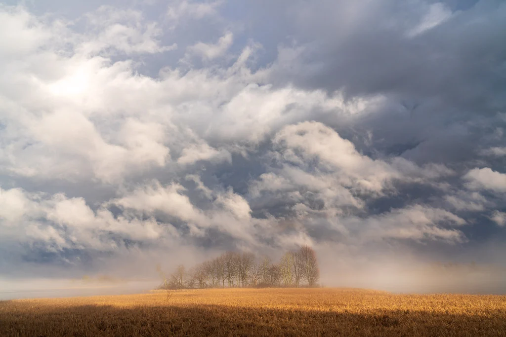 Landscape Photography