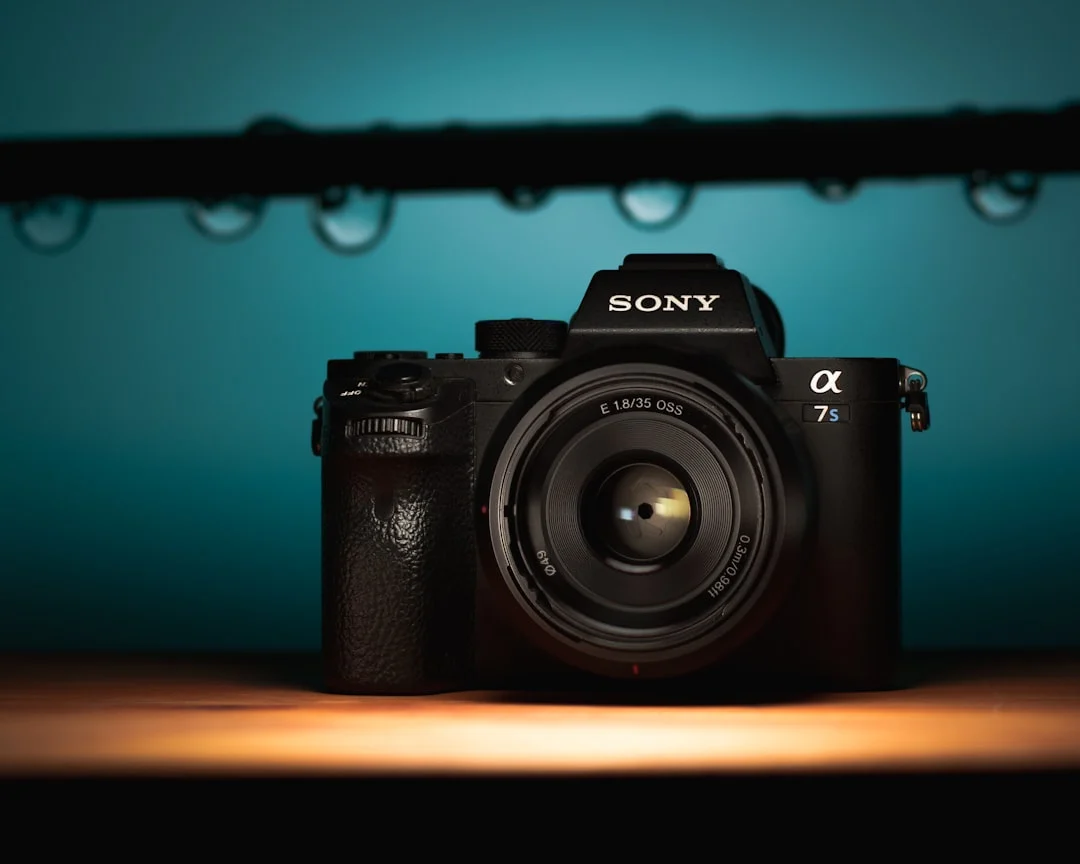Mirrorless Vs Dslr