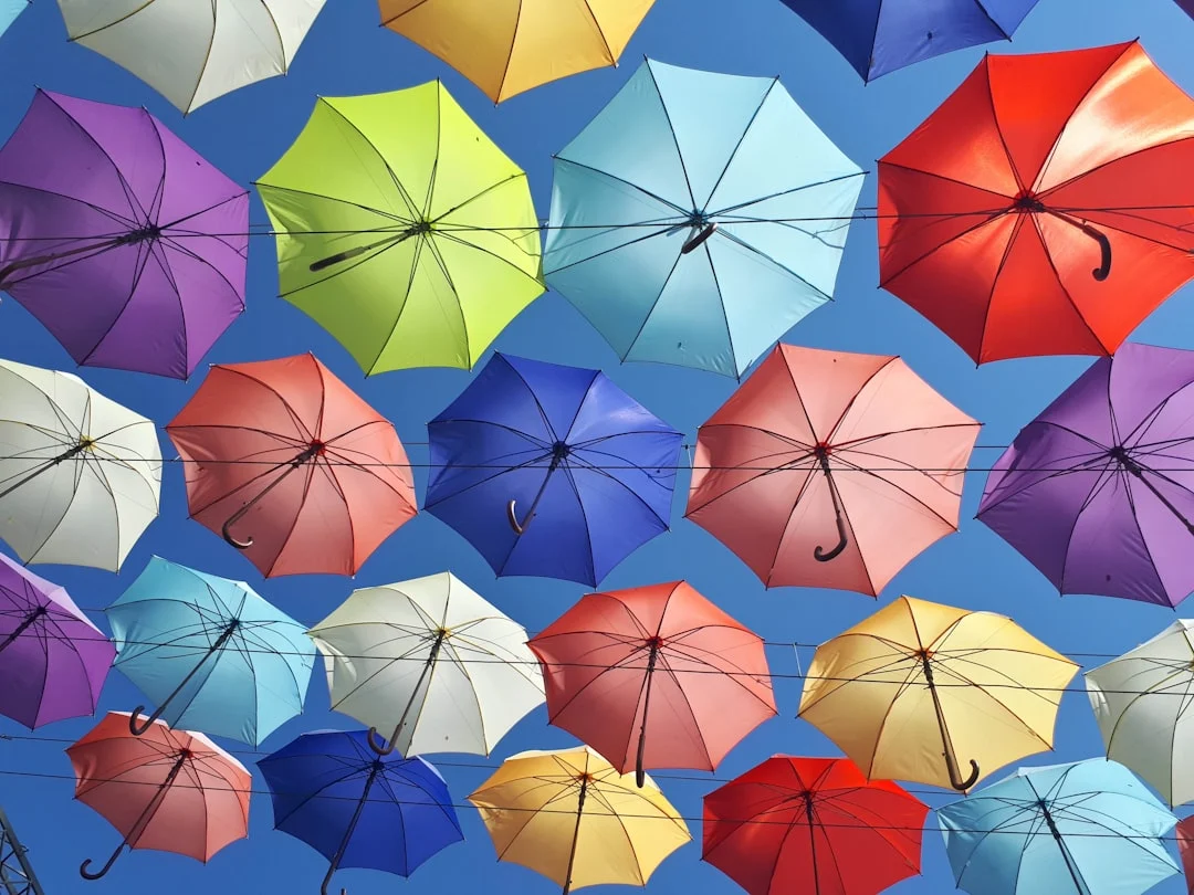Color In Photography