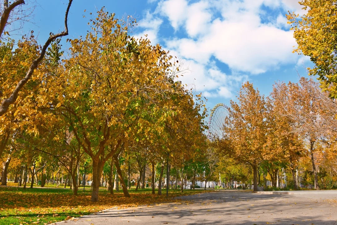 Dynamic Range Explained