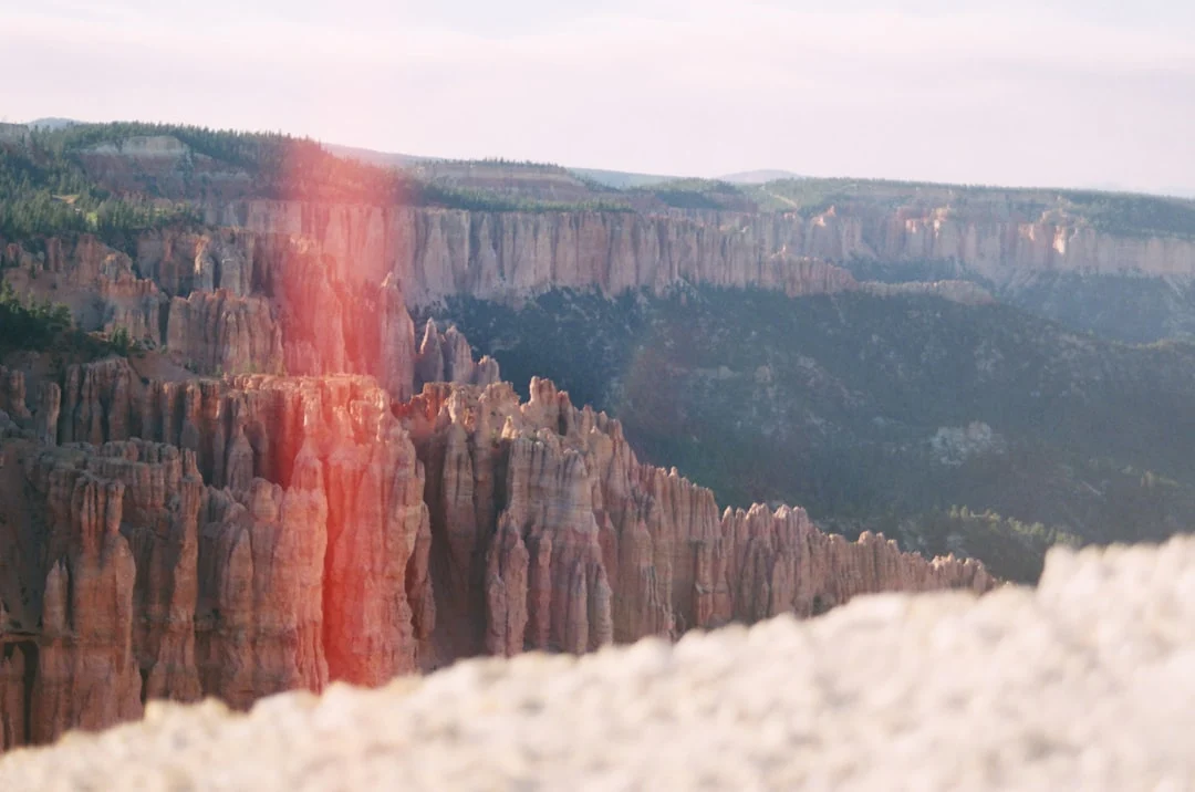 How to Add Film Grain to Digital Photos