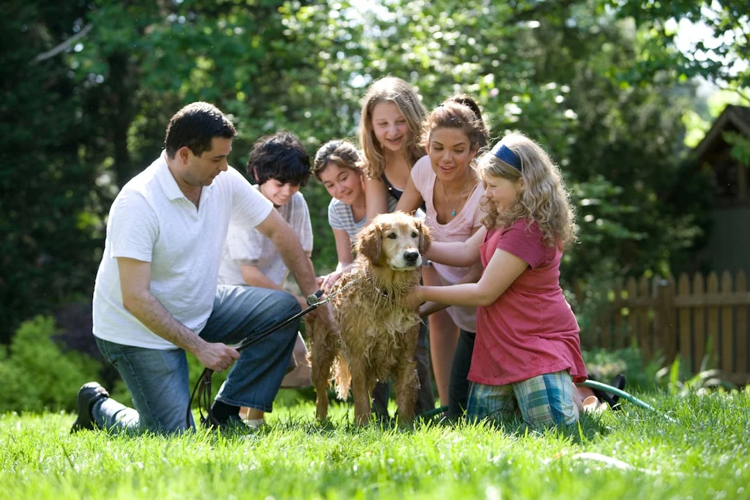 Photography for Parents