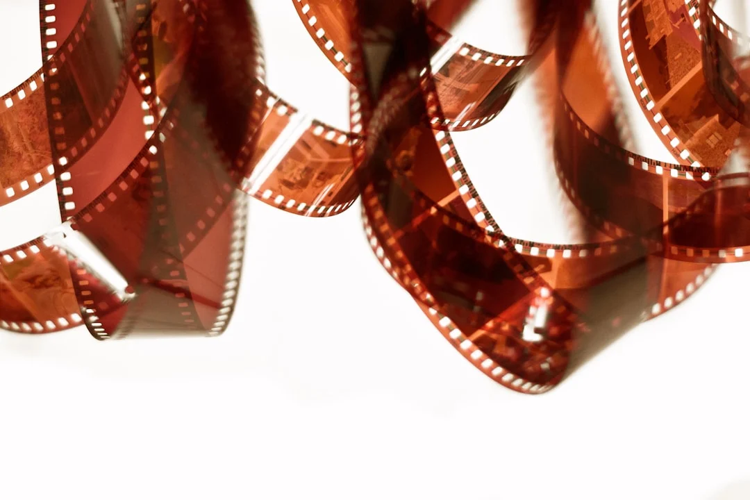 Scanning Film Negatives: How to Digitize Your Film Photos | Icon ...