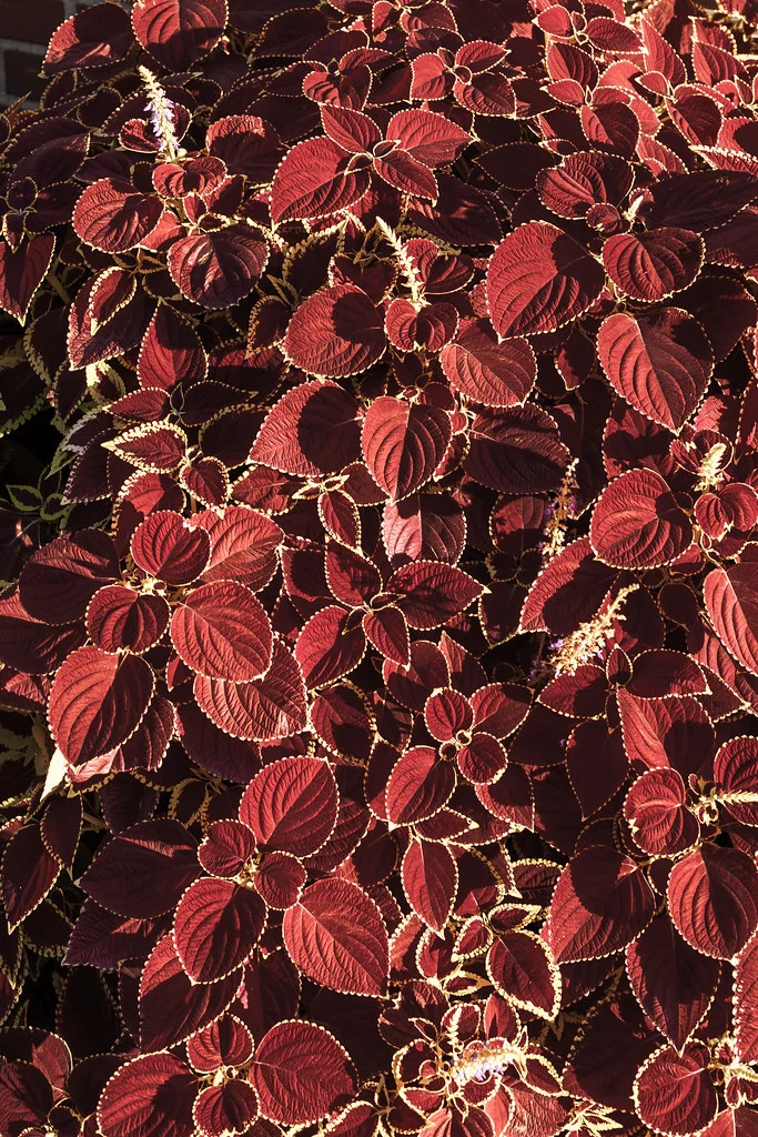 Texture In Photography