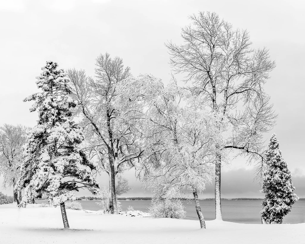 Winter Photography