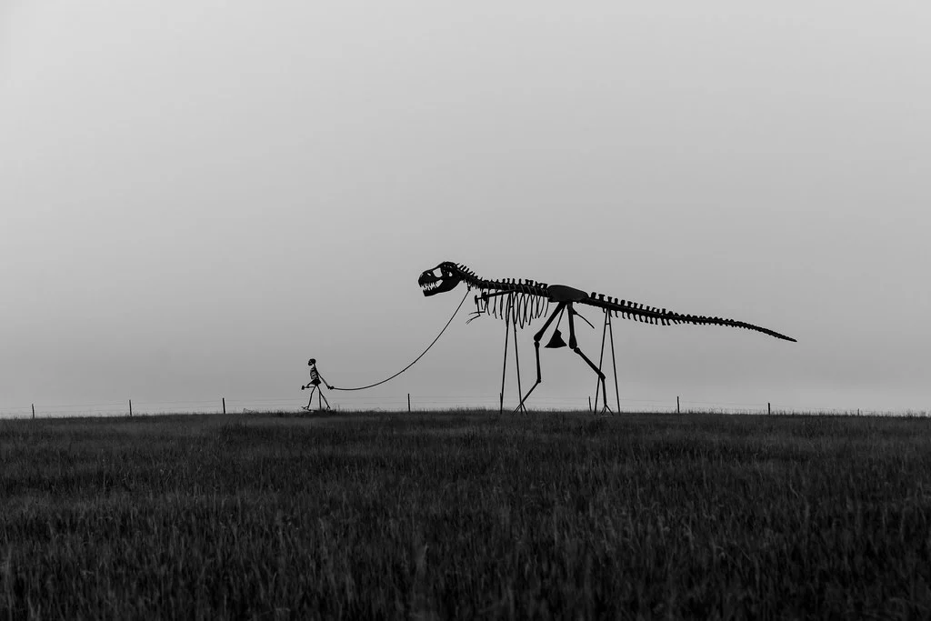 Skeleton Man Walking Skeleton Dinosaur