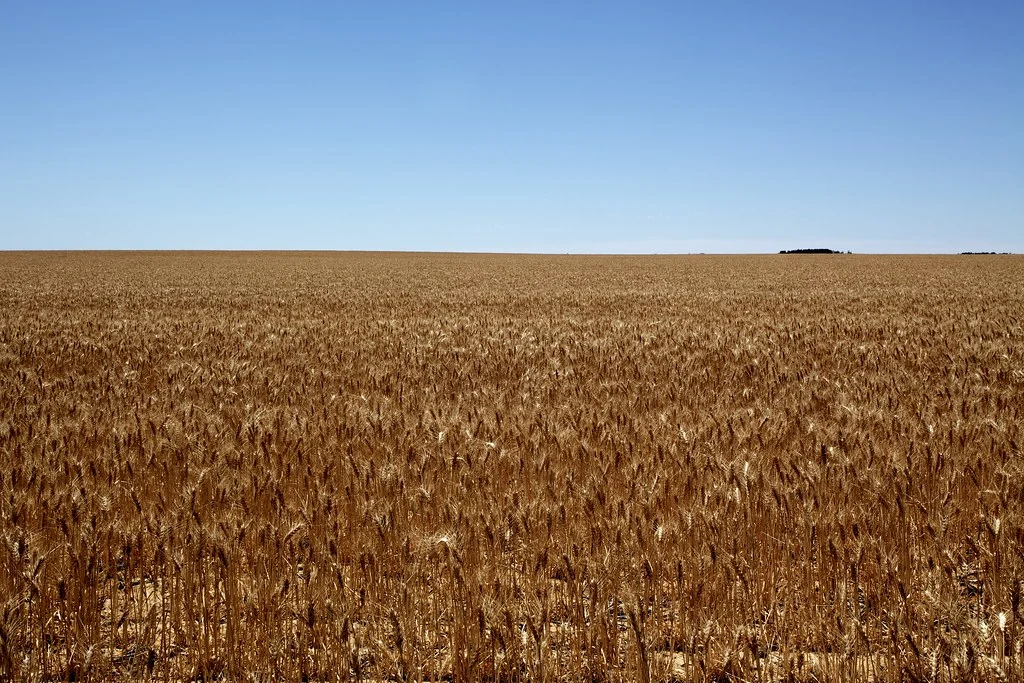 Minimal Landscape