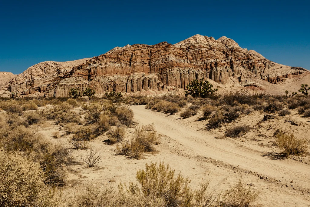 Desert Landscape