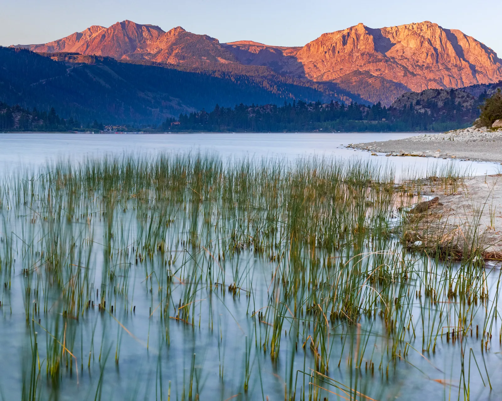 Pink sunrise light on rocky mountain peaks above a shadowed forested slope, with a pale blue lake and green reeds in the foreground