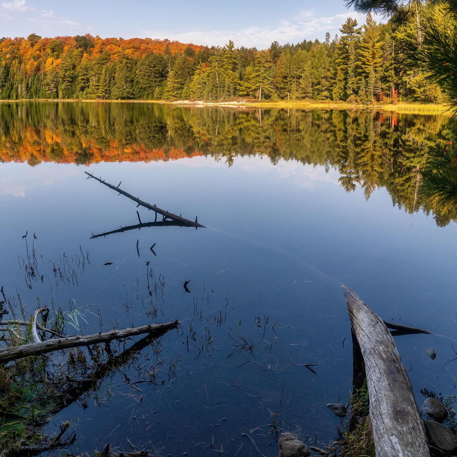 An autumn forest of orange and green trees reflected in a still, dark lake, with fallen logs lying in the shallow foreground