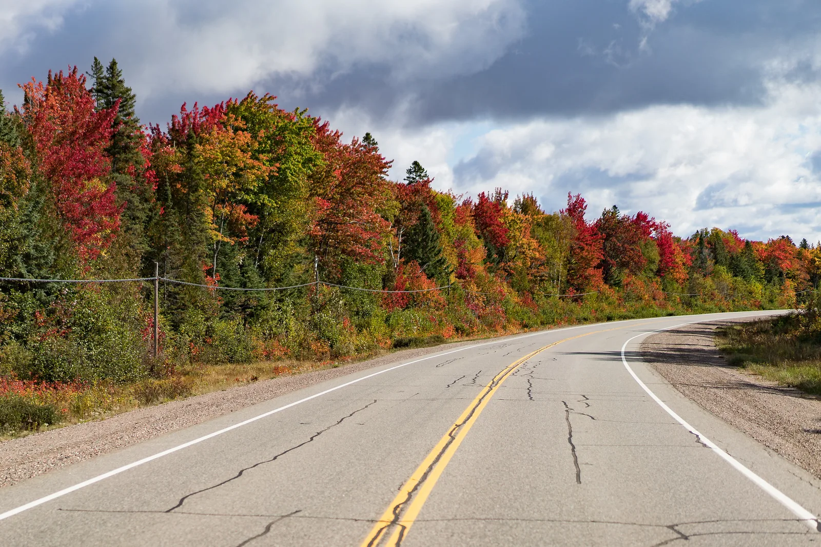 A curving two-lane road beside a long bank of trees in red, orange, yellow and green autumn colour under a cloudy sky