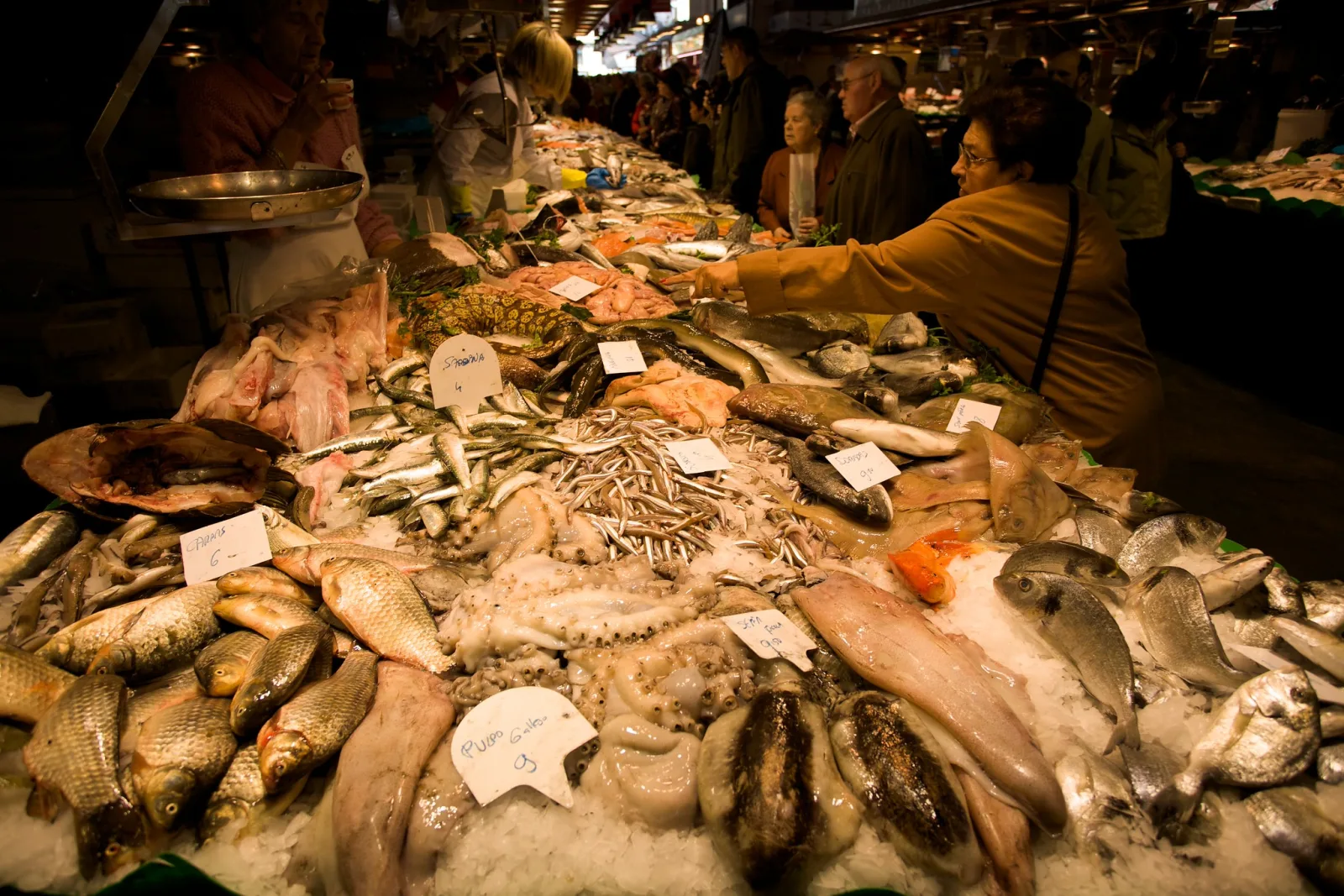 A market counter heaped with whole fish on ice under warm light, with handwritten price cards and vendors and customers behind