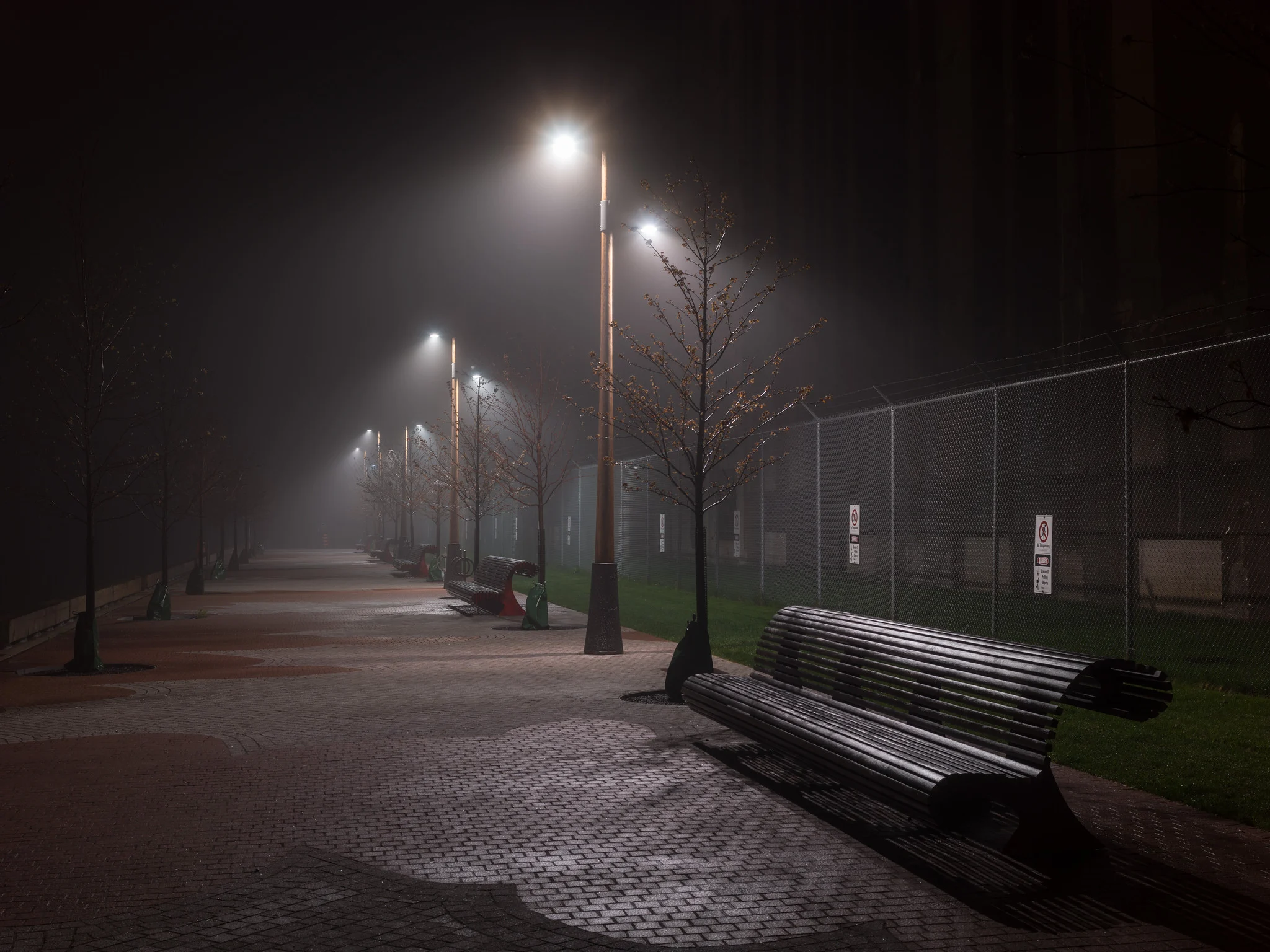 Empty park benches and lamp posts along a path at night in fog, a low key composition