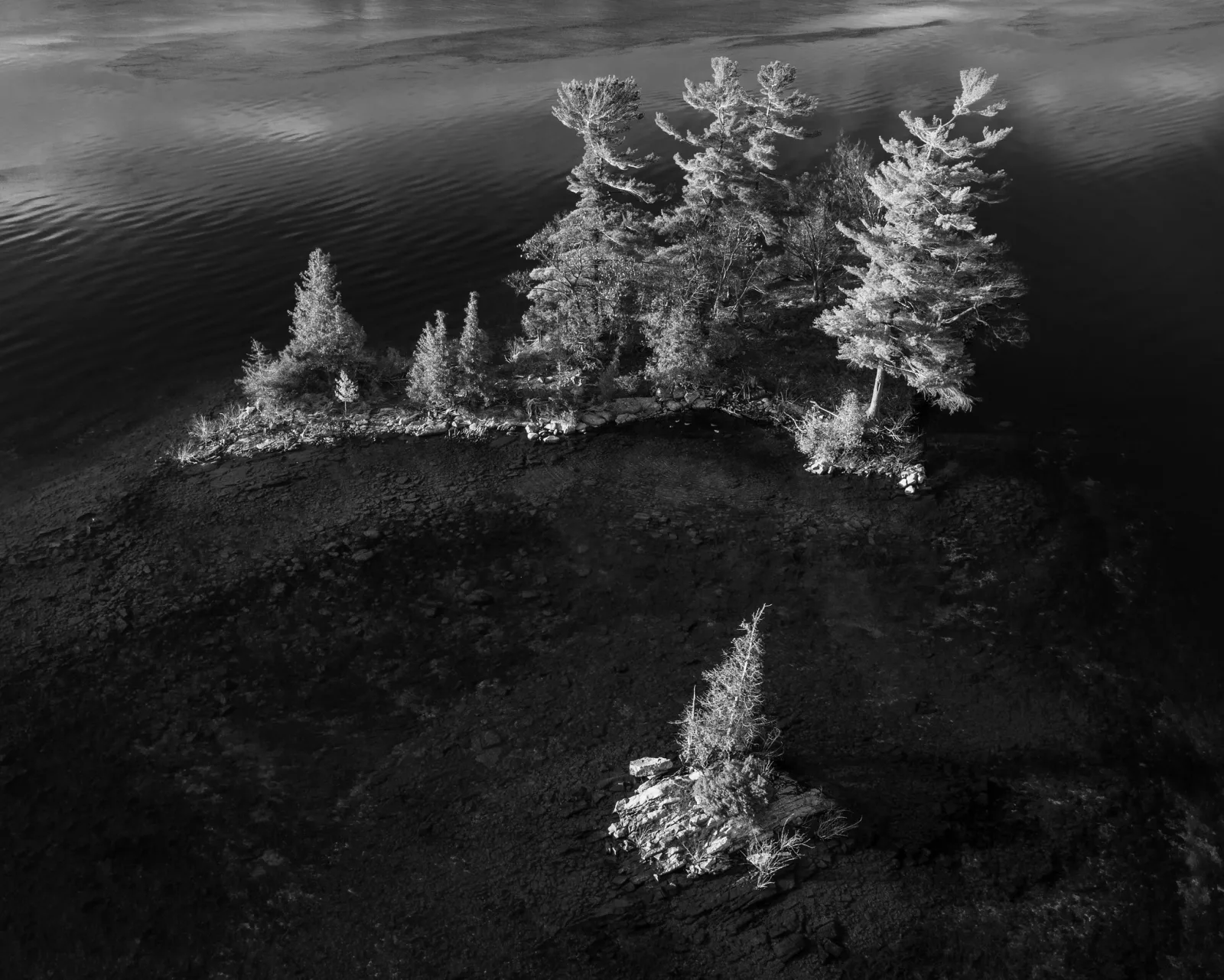 Black and white aerial photo of a small rocky island with bright frosted pine trees surrounded by very dark water