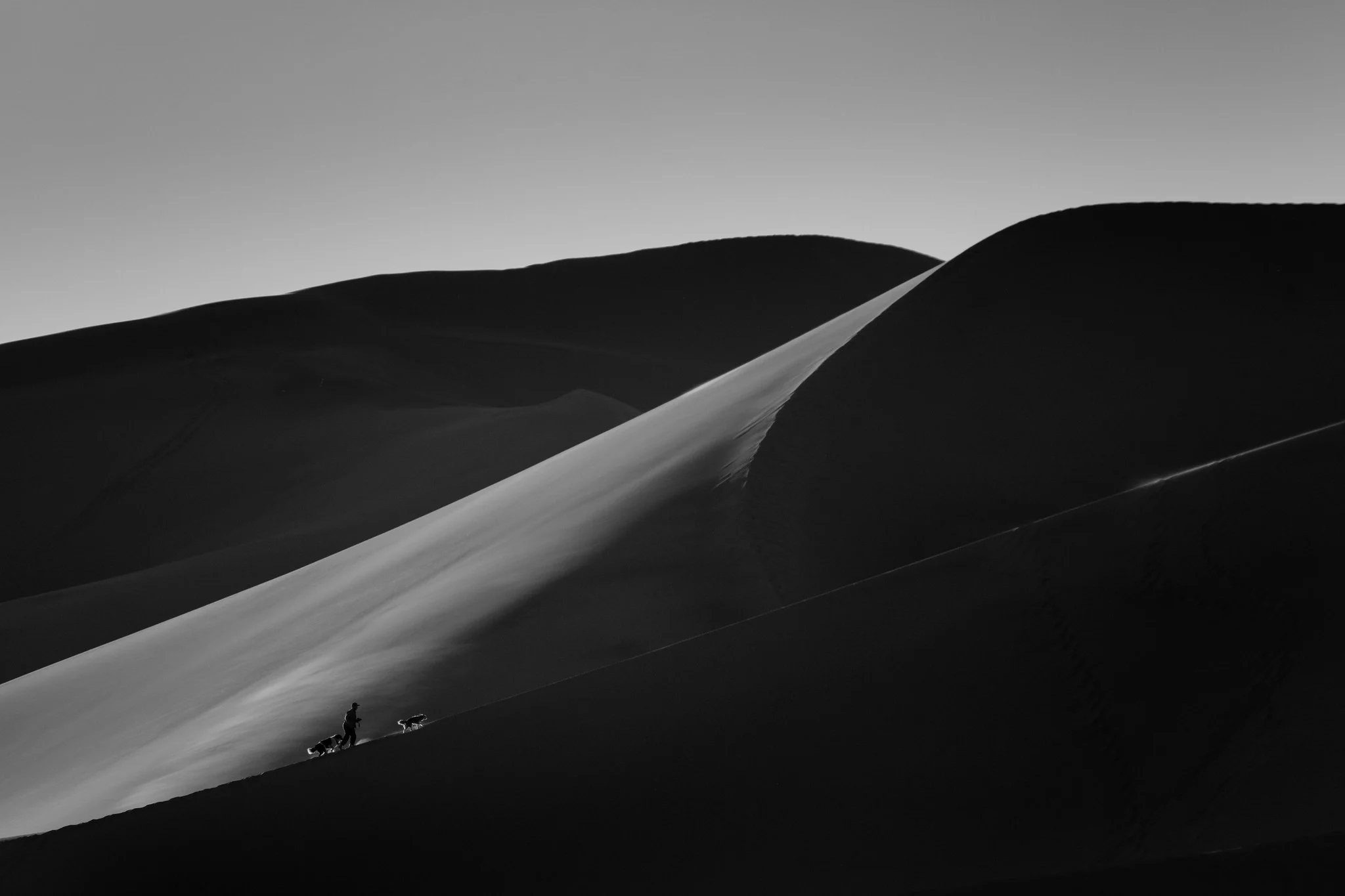 A man and his dogs climbing sand dunes, in black and white
