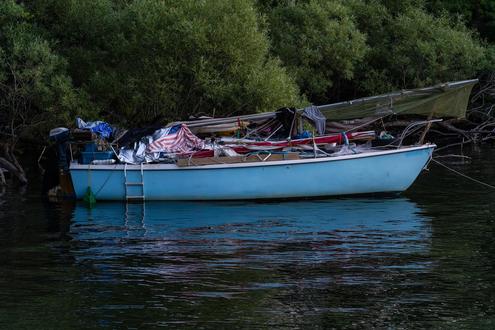 A small pale blue sailboat with its sail lowered, moored on dark water in front of a bank of dense green trees in shadow