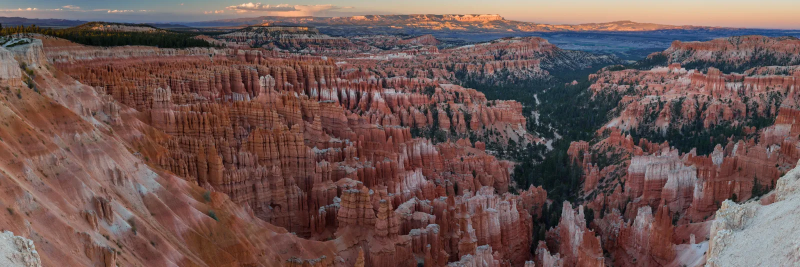 Wide panorama over a canyon filled with hundreds of orange and white rock spires, with forest on the rim and a band of sunset light on the horizon