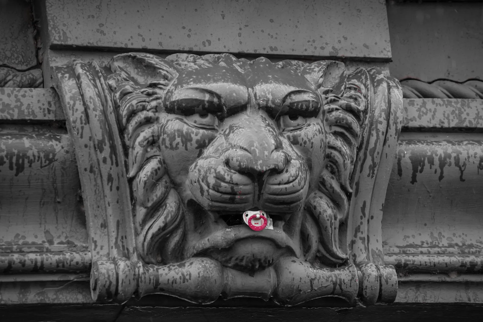 Black and white close-up of a weathered carved stone lion's head on a building, with a small red object held in its mouth