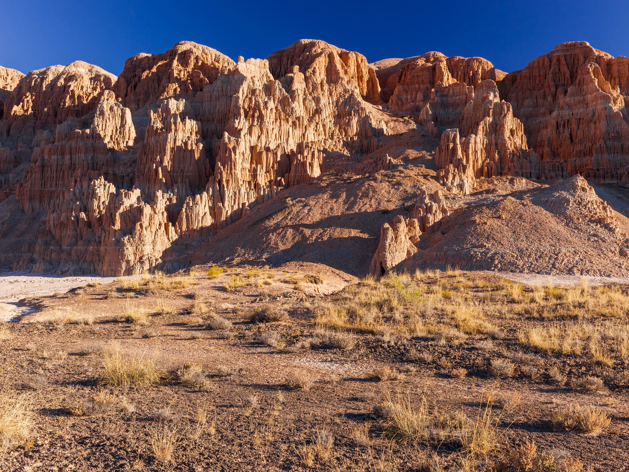 Eroded badland cliff face lit by low raking morning sun, every vertical channel and groove throwing its own shadow