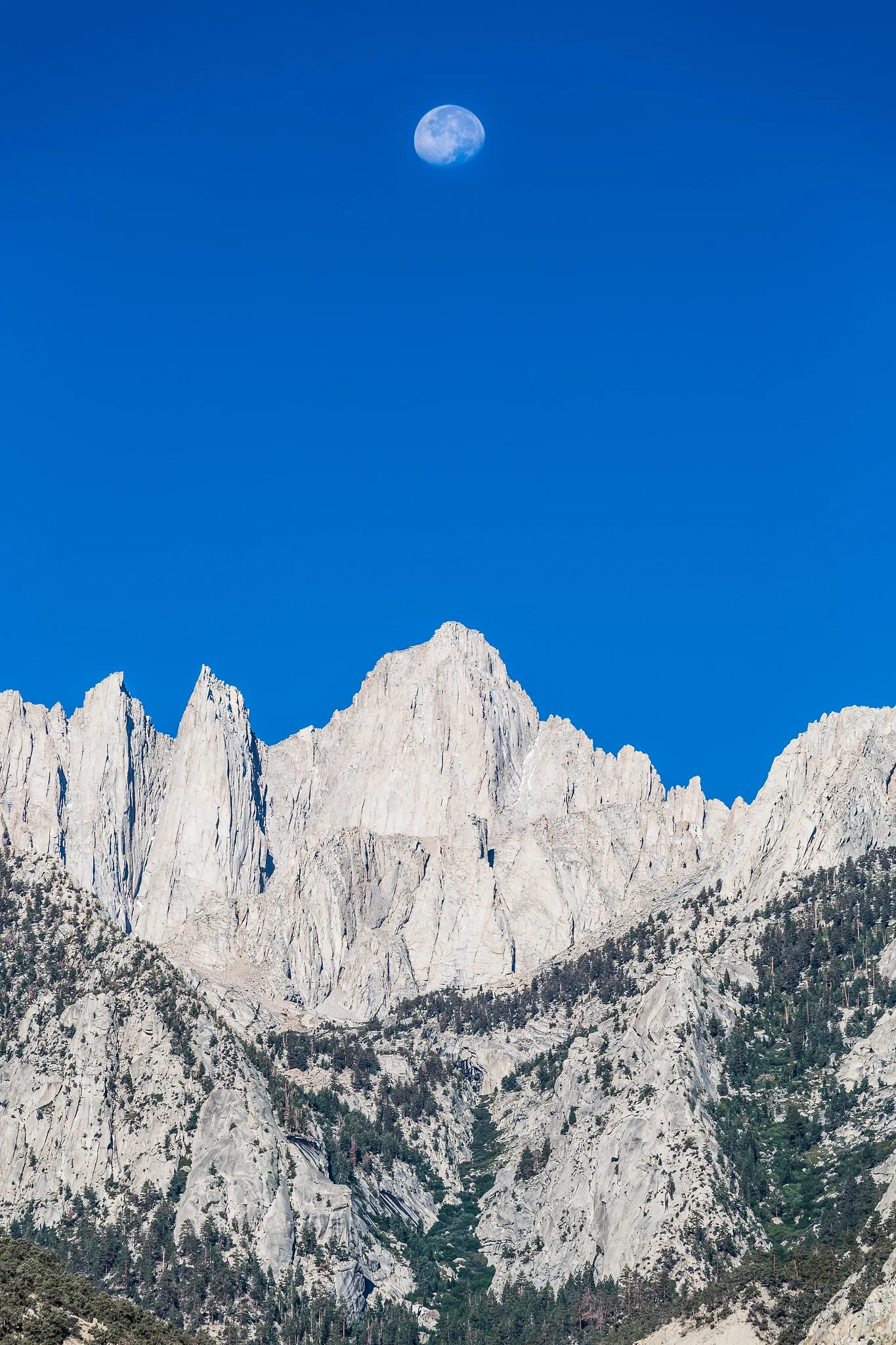 A gibbous moon in a clear, deep blue daytime sky above pale grey granite peaks lit by the sun, with dark pines on the lower slopes
