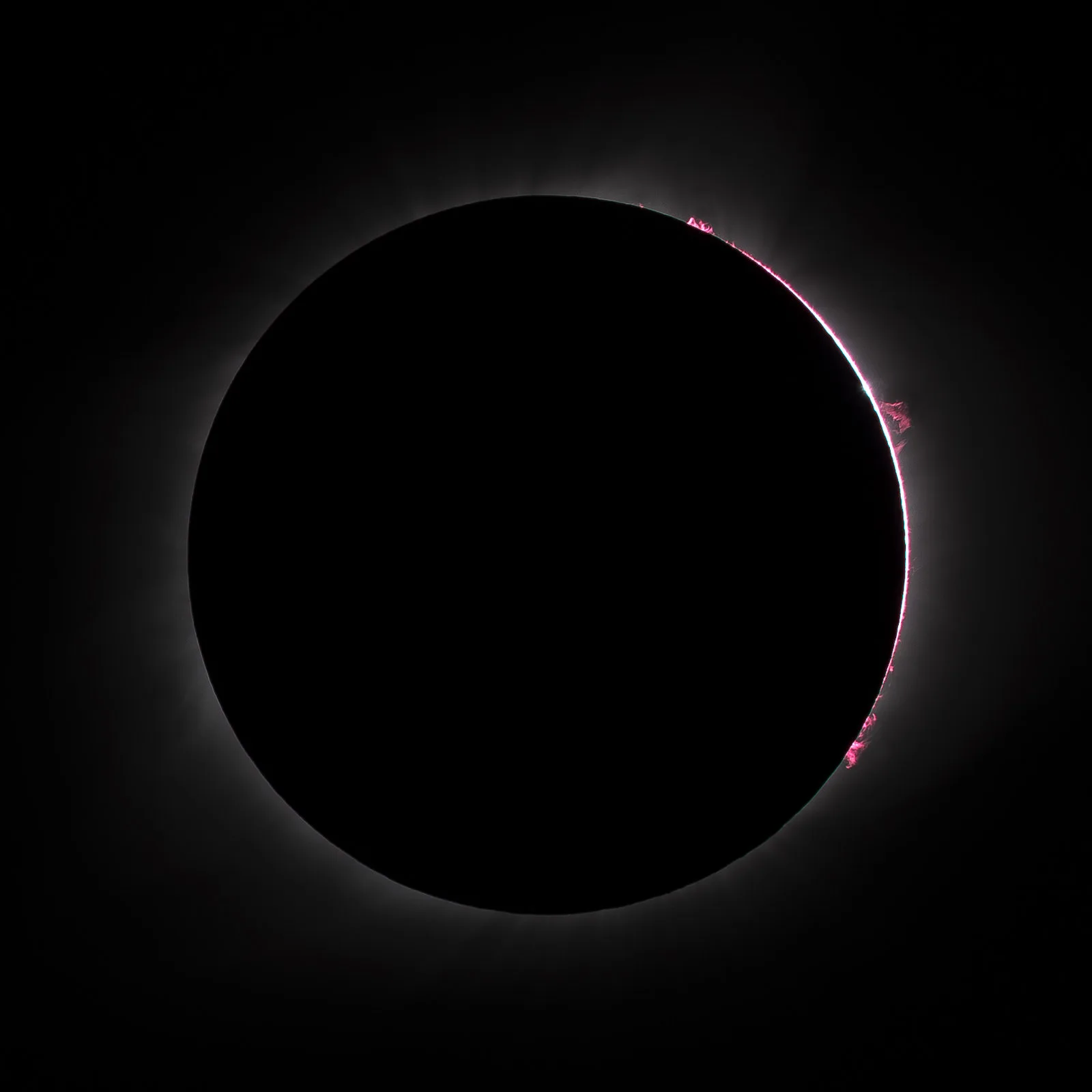 The black disc of the moon covering the sun during a total solar eclipse, with a thin pink and white rim of light on one edge