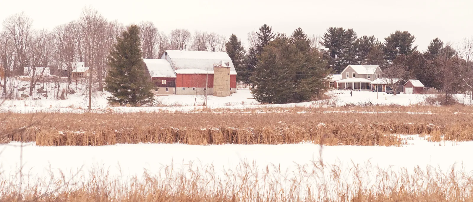 A wide, shallow frame of a red farmhouse and barns among bare trees in falling snow, with pale reeds across the foreground