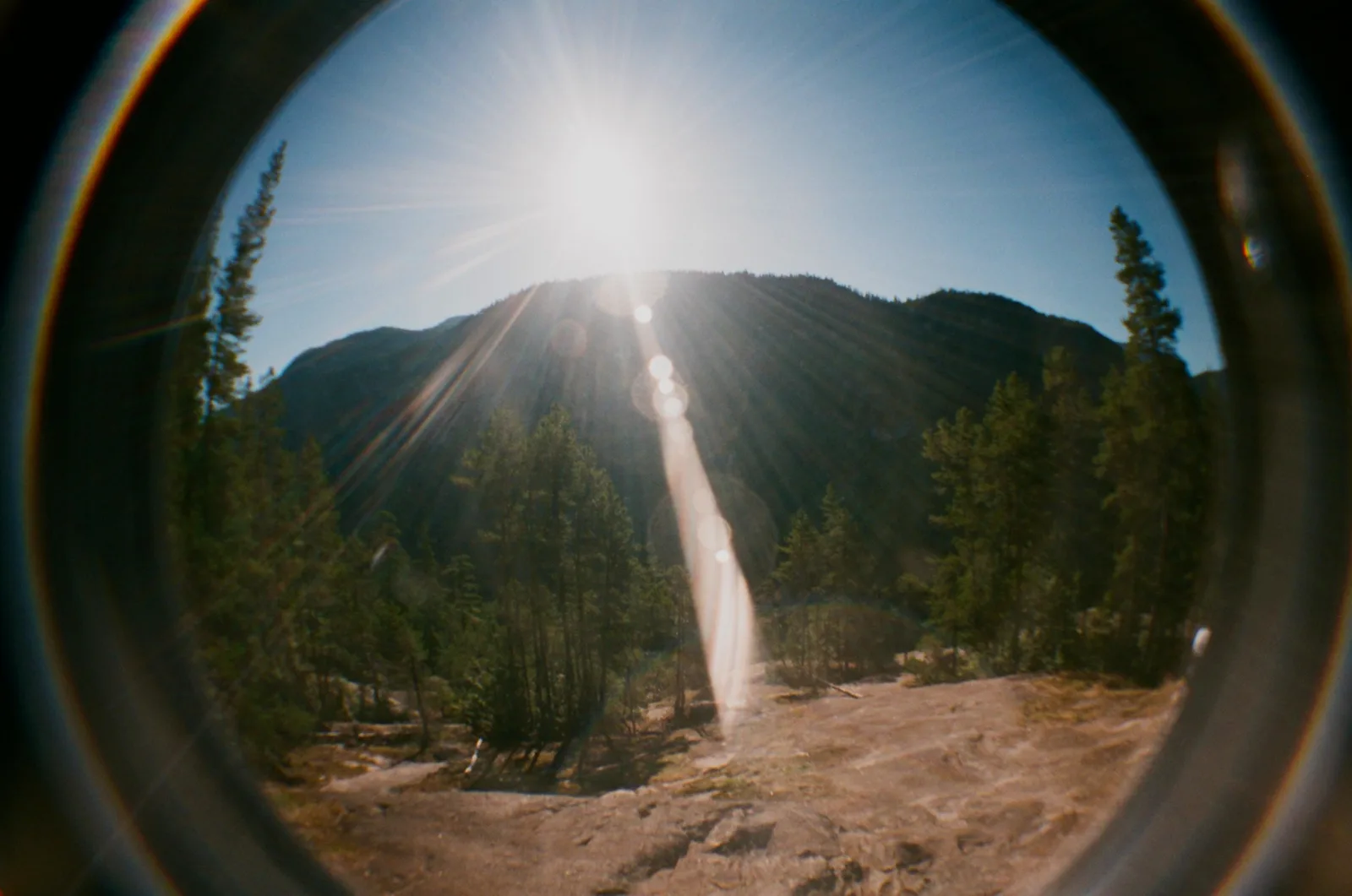 A mountain and pine trees under a bright sun, with a chain of flare spots running down from the sun and a dark circular edge surrounding the picture