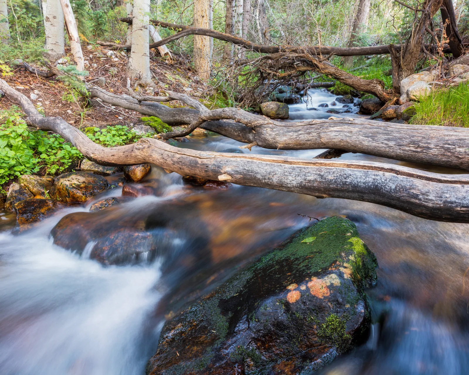 A forest stream with water blurred into soft white streaks flowing past a mossy rock and fallen logs
