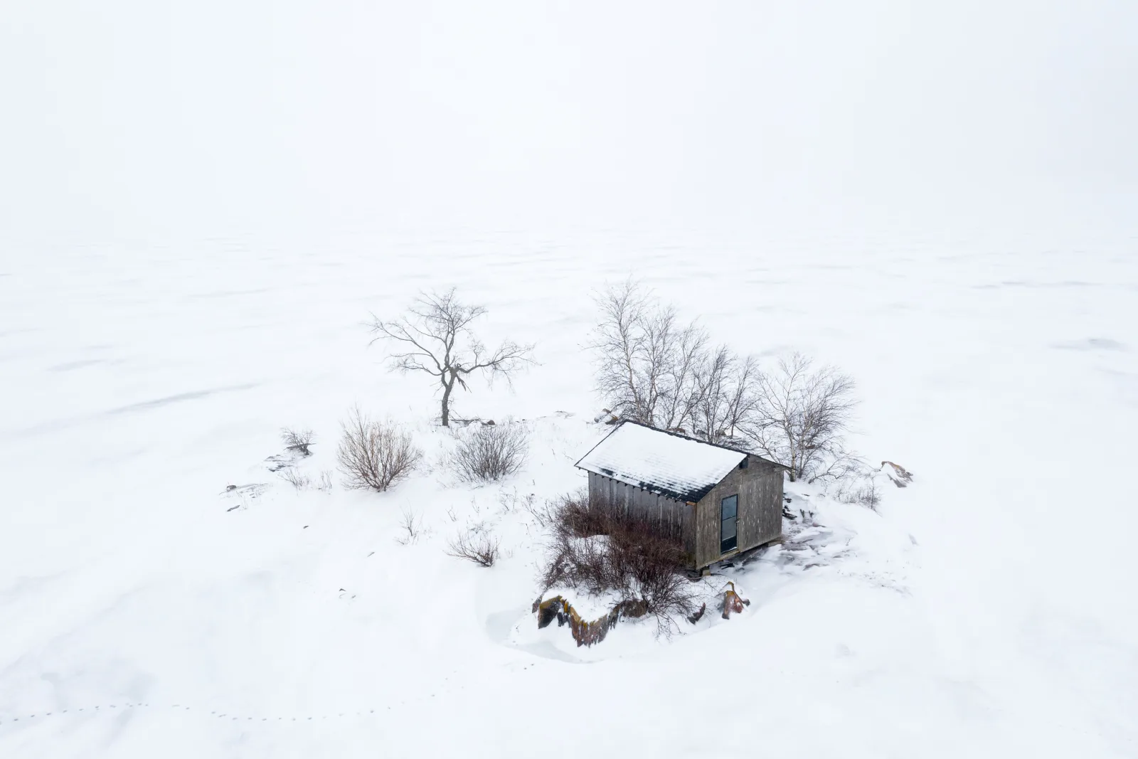 A small wooden cabin and a few bare shrubs on a snow-covered island, surrounded by white snow and a white sky