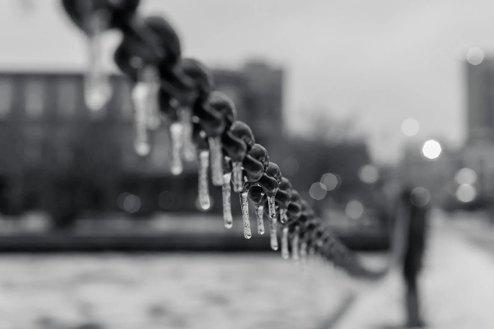 Black and white close view of icicles hanging from a heavy chain, sharp at one point and falling quickly out of focus, with city buildings and lights blurred behind