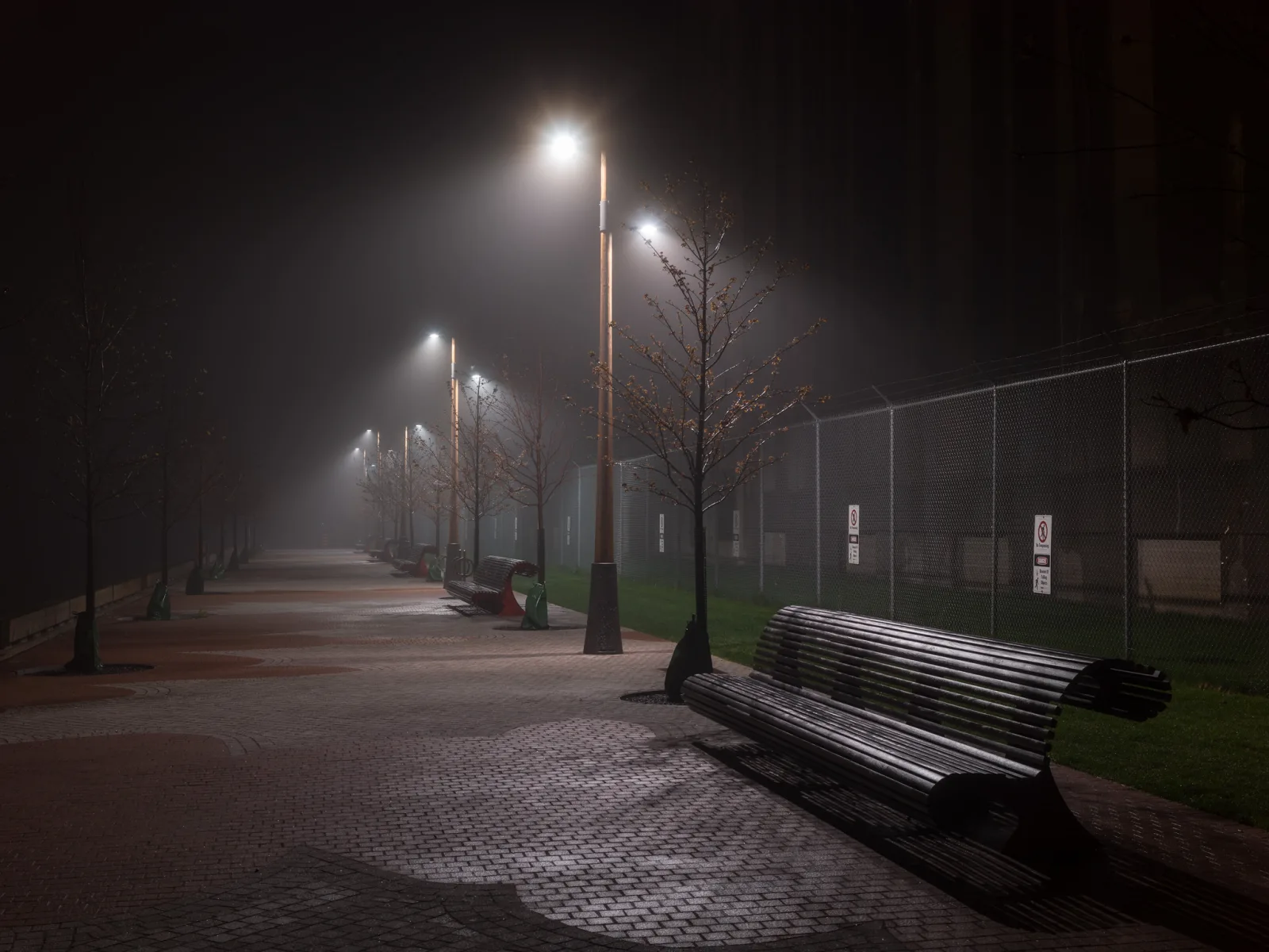 A path at night lined with street lamps glowing in fog, a bench in the foreground and most of the frame in deep shadow