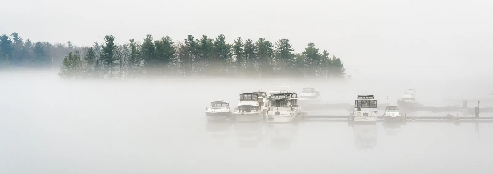 Boats at a dock and a line of pine trees fading into thick white morning fog