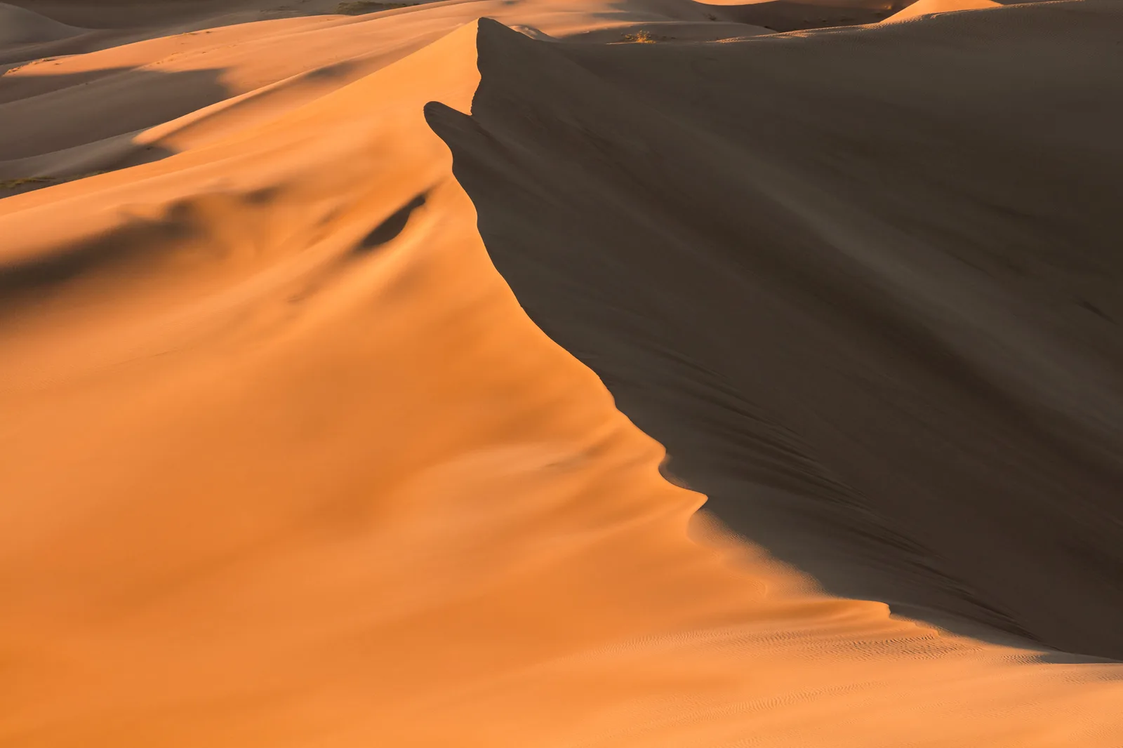 A curving sand dune crest dividing a bright orange sunlit slope from a steep slope in deep shadow, with more dunes behind