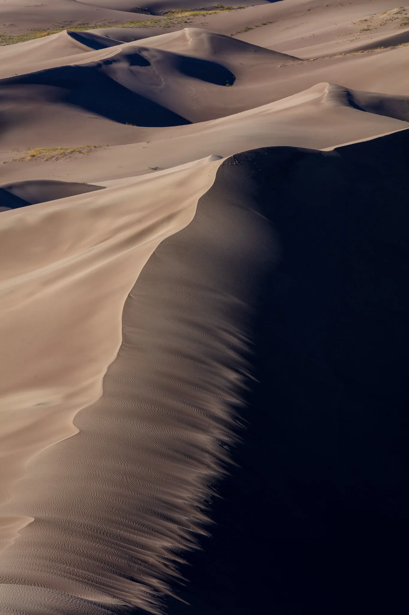 A sharp sand dune ridge lit from the left by low sun, with the left face bright and rippled and the right face in almost black shadow