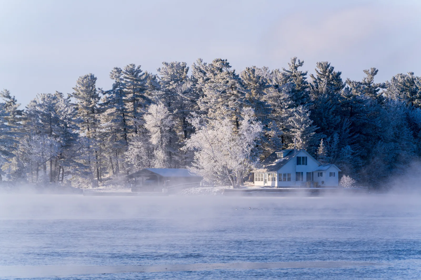 Mist rising from dark open water in front of a snowy shoreline of tall pines and frosted trees, with a house among them