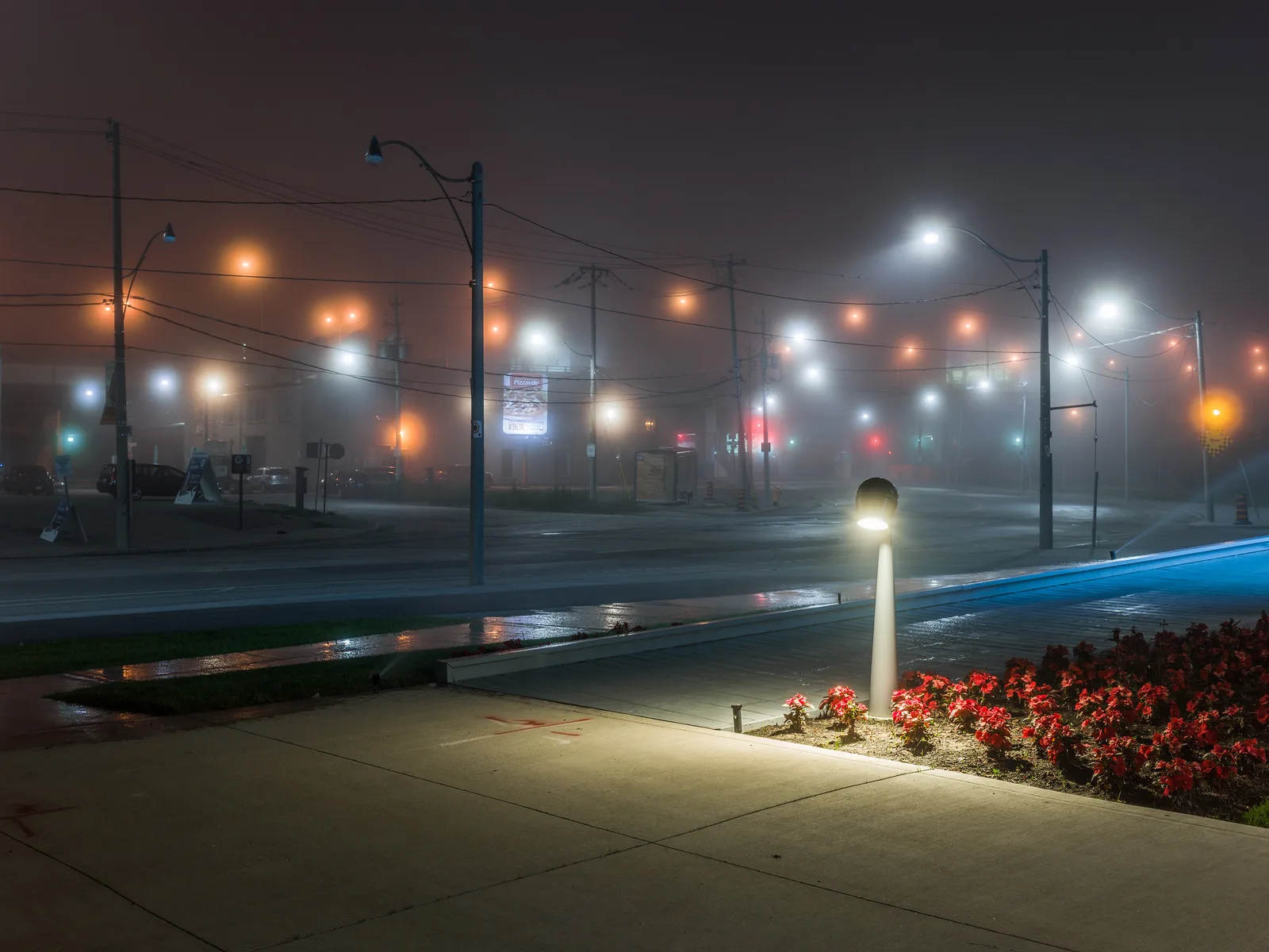 A foggy street at night with many bright street lamps, traffic signals and a lit bollard beside a bed of red flowers