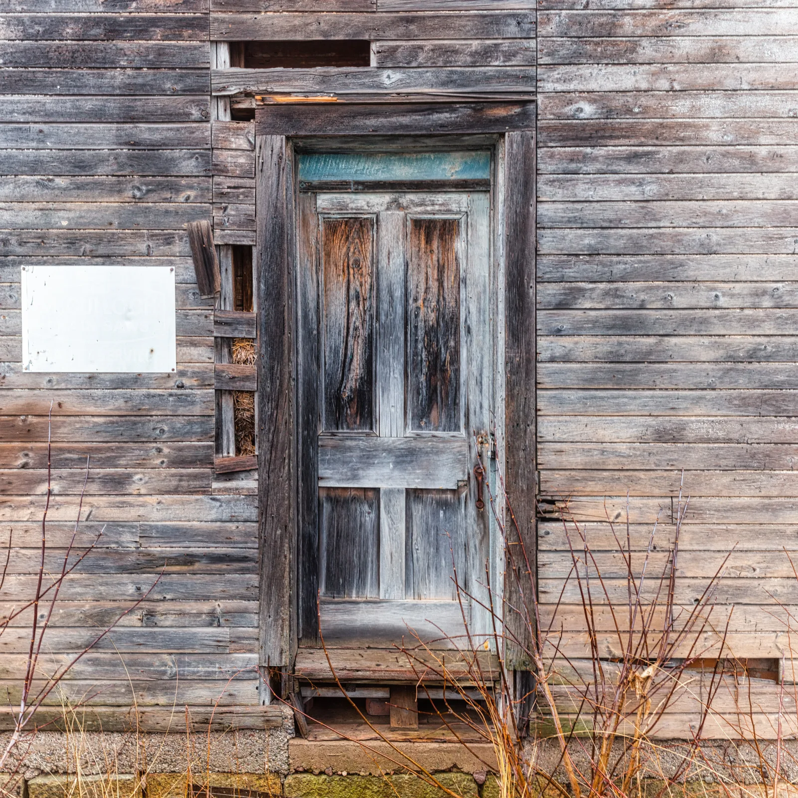 An old wooden door in a weathered plank wall, its blue-green paint worn and bleached to pale gray in patches, with dry grass at the base
