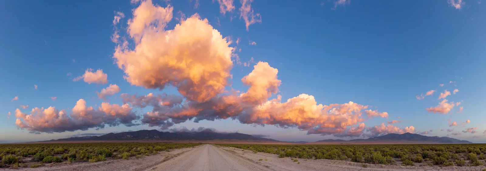 A wide panorama of sunlit pink and orange cumulus clouds in a deep blue sky above a straight desert road and low scrub