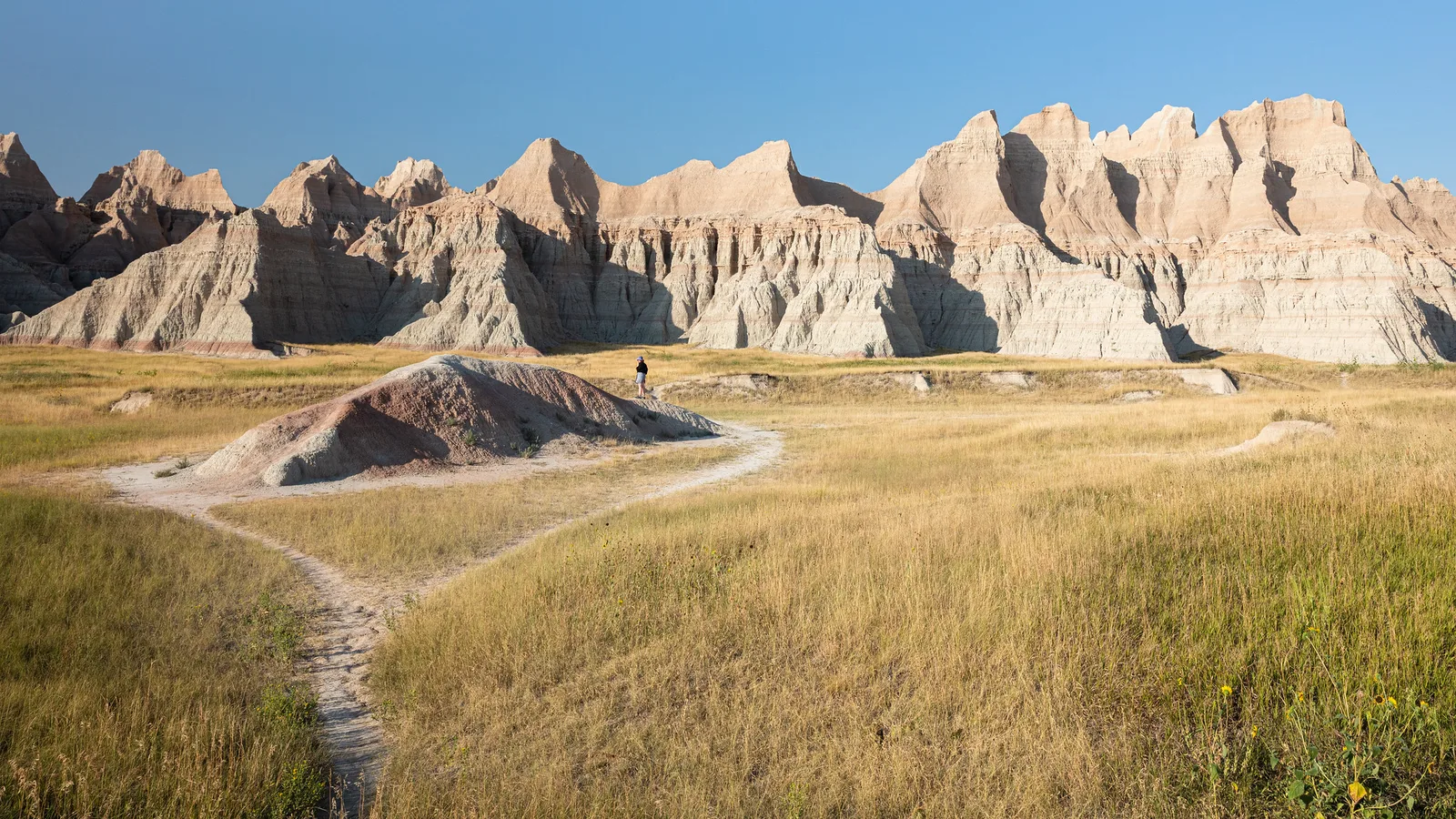 A tiny lone hiker standing on a winding dirt trail through golden grassland beneath a long ridge of pale eroded badlands peaks under a clear blue sky