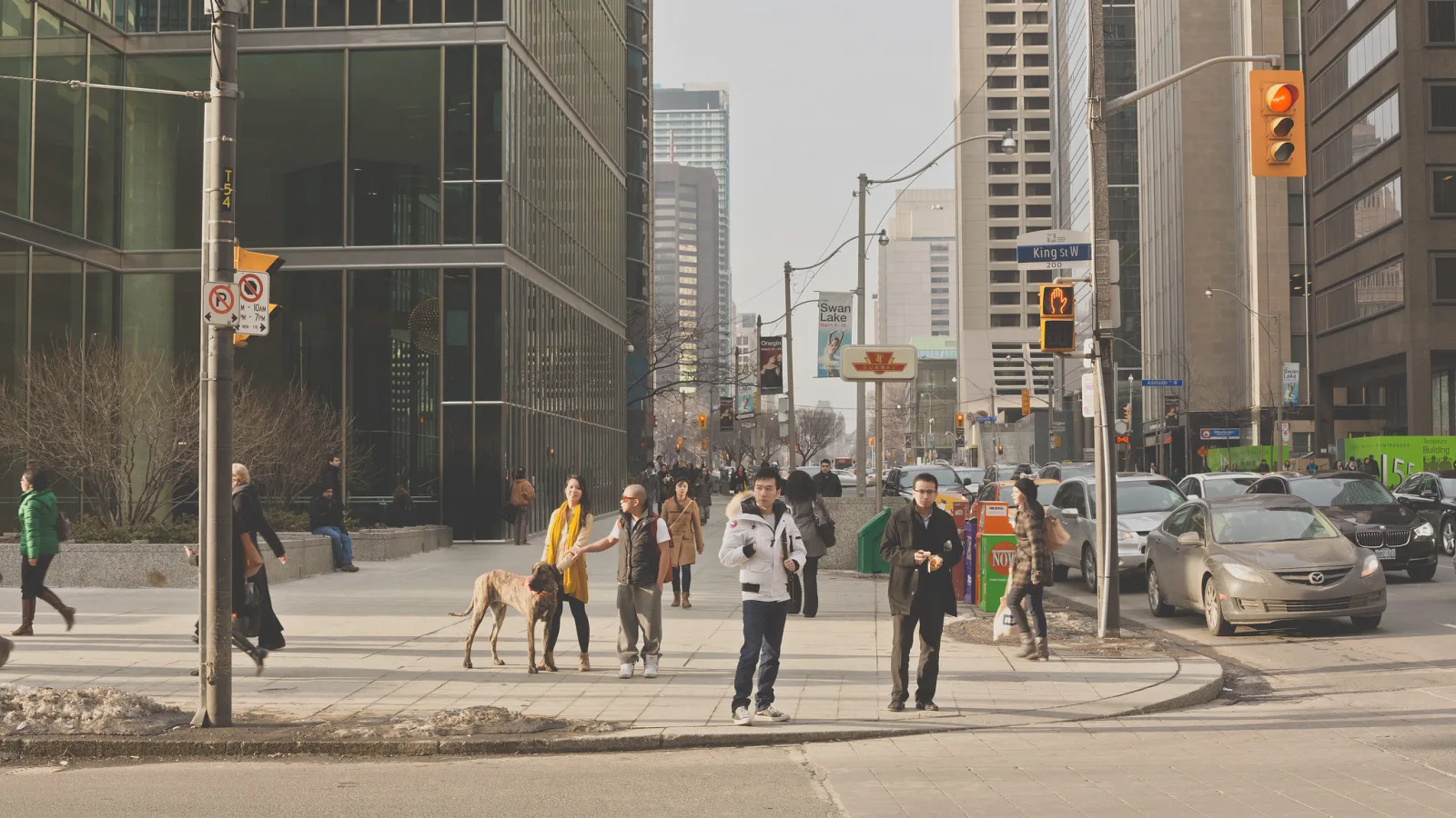 Pedestrians and a large dog waiting and crossing at a downtown street corner between glass office towers, with traffic lights and cars