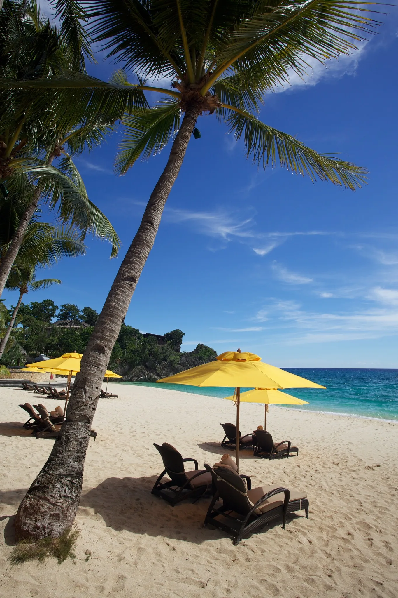 A tropical beach with a leaning palm tree, yellow umbrellas and sun loungers on white sand beside turquoise water