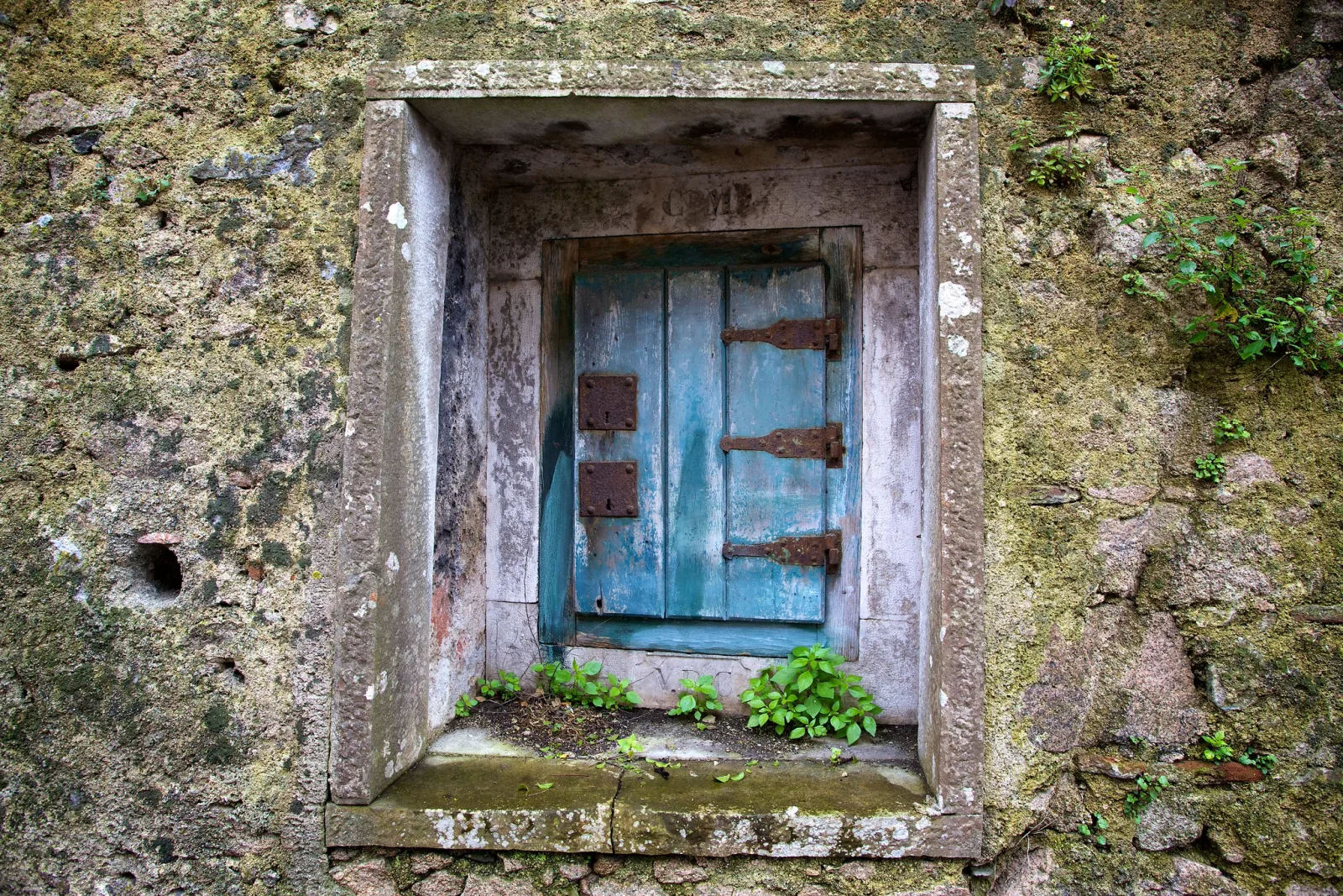 A small window in a mossy stone wall, closed with a weathered blue wooden shutter held by rusted hinges, with plants growing on the sill