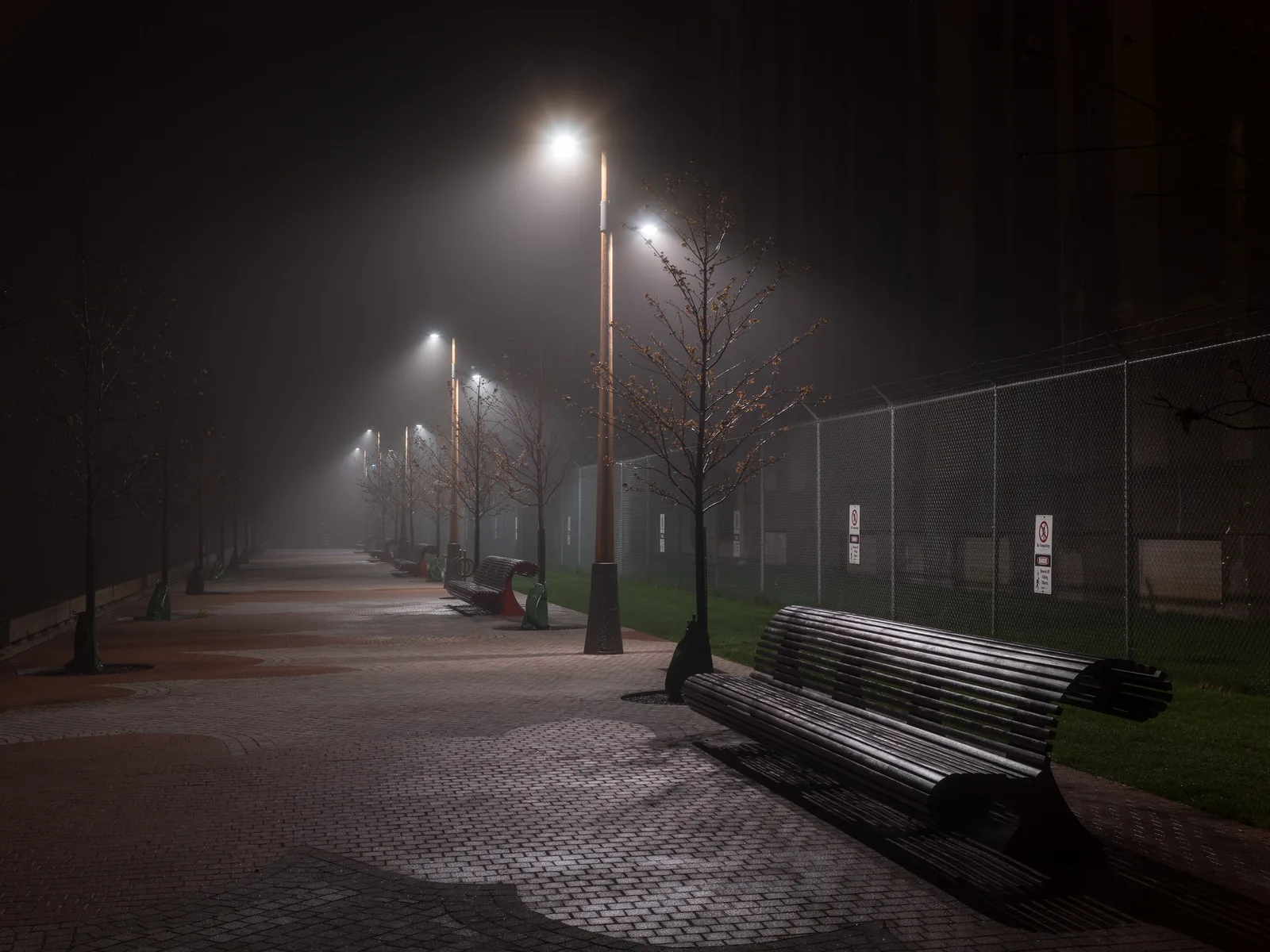 Park benches and glowing street lamps along a path at night in thick fog