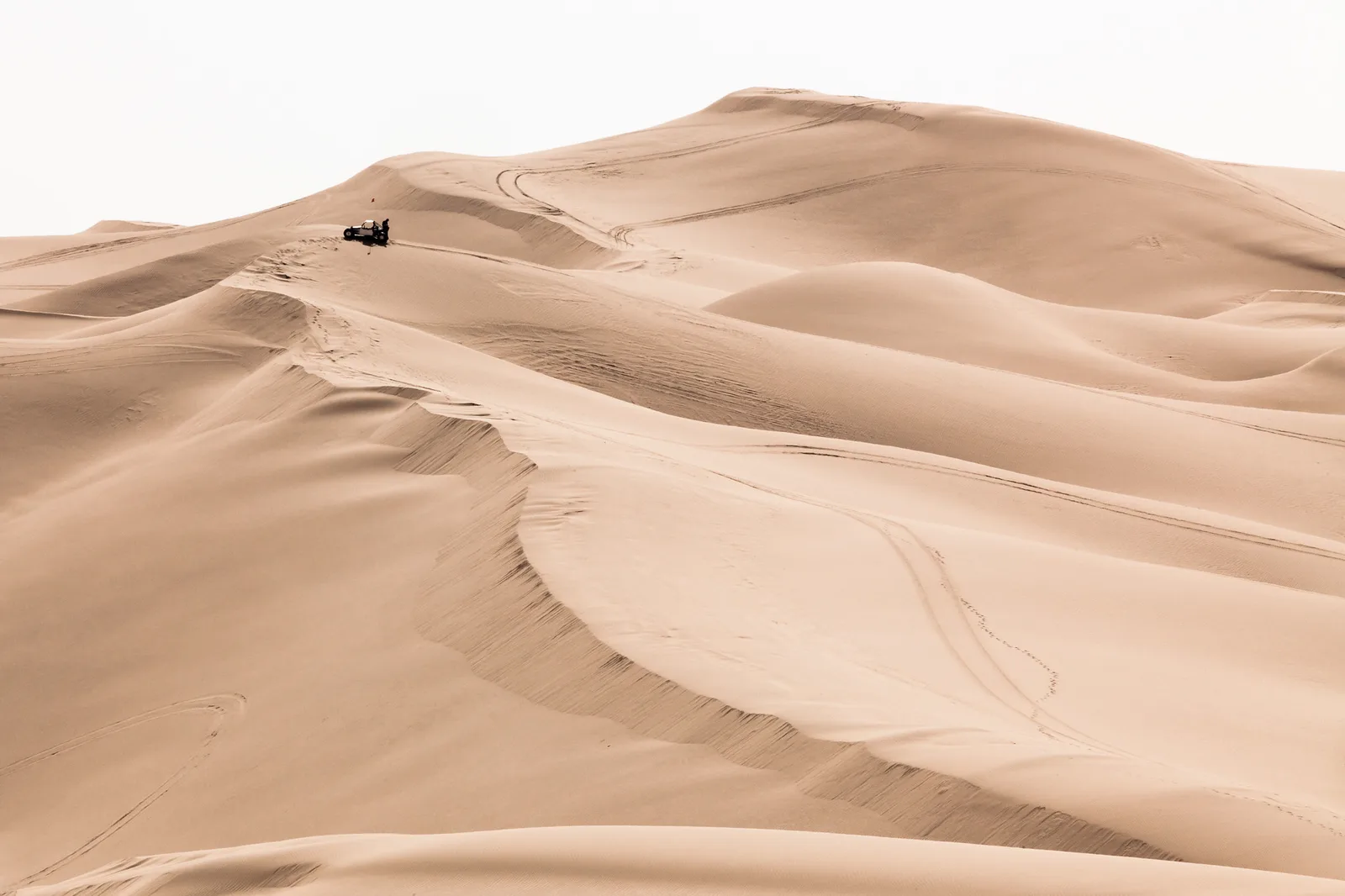 Smooth pale sand dunes in soft light with one tiny dark shape near the crest