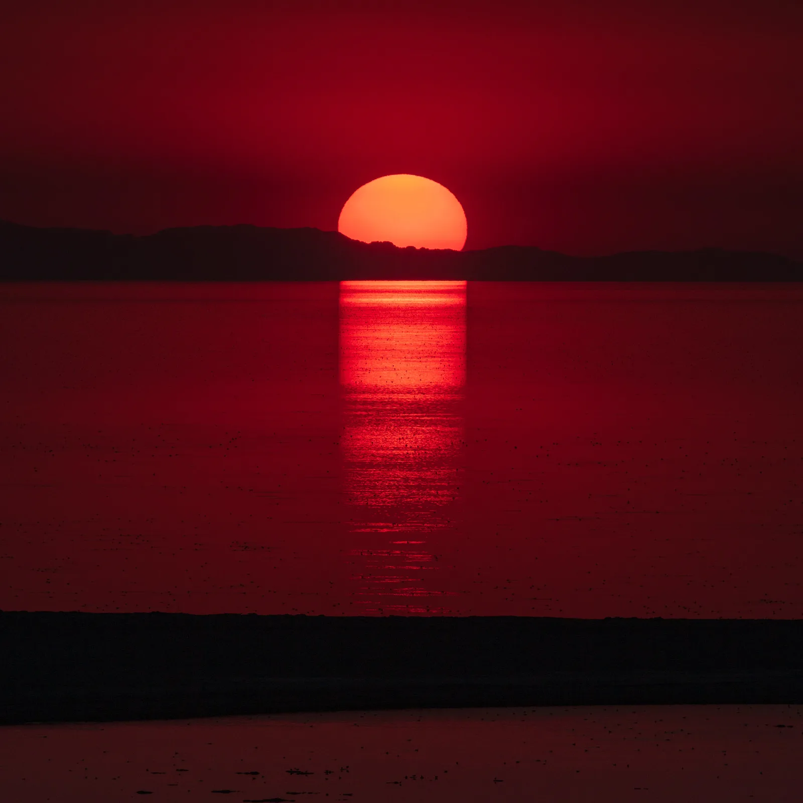 A red sun setting over still water with birds flying low across the horizon