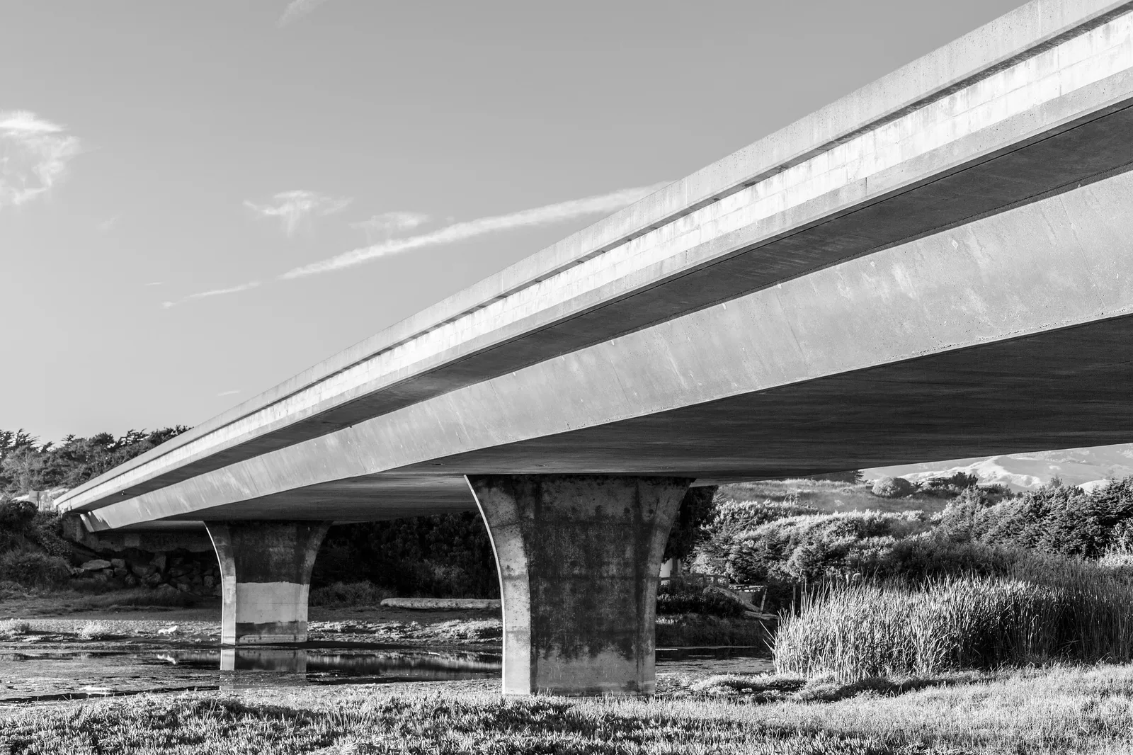 Black and white photo of a long concrete highway bridge curving over scrubland on tall pillars under a pale sky.